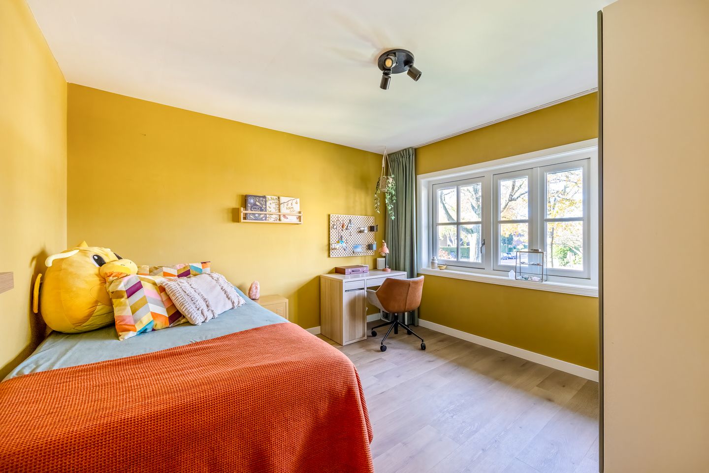 Foto 49 van H. Kamerlingh Onnesweg 106