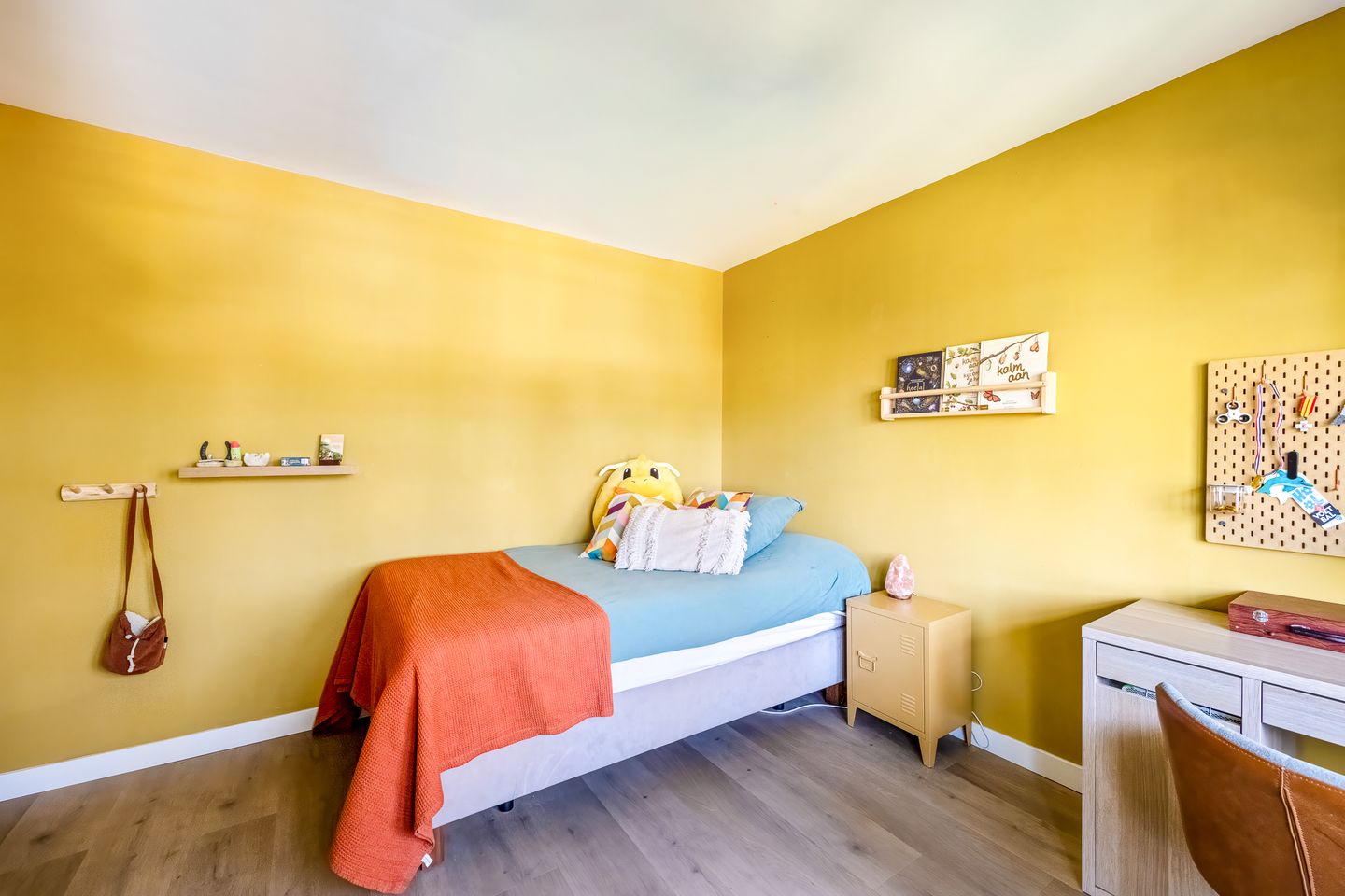 Foto 50 van H. Kamerlingh Onnesweg 106