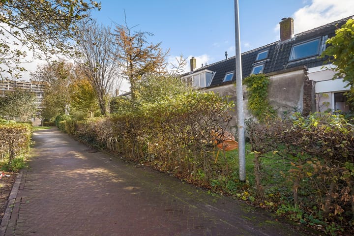 Foto 38 van Jacobastraat 224