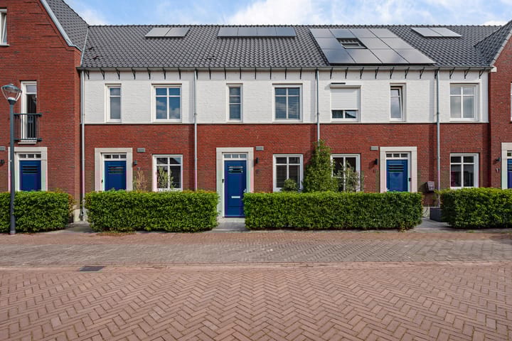 Foto 1 van Drieloper 9