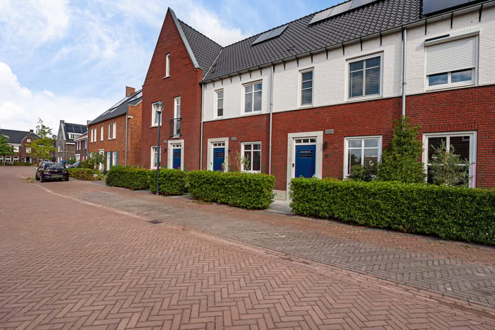 Foto 7 van Drieloper 9