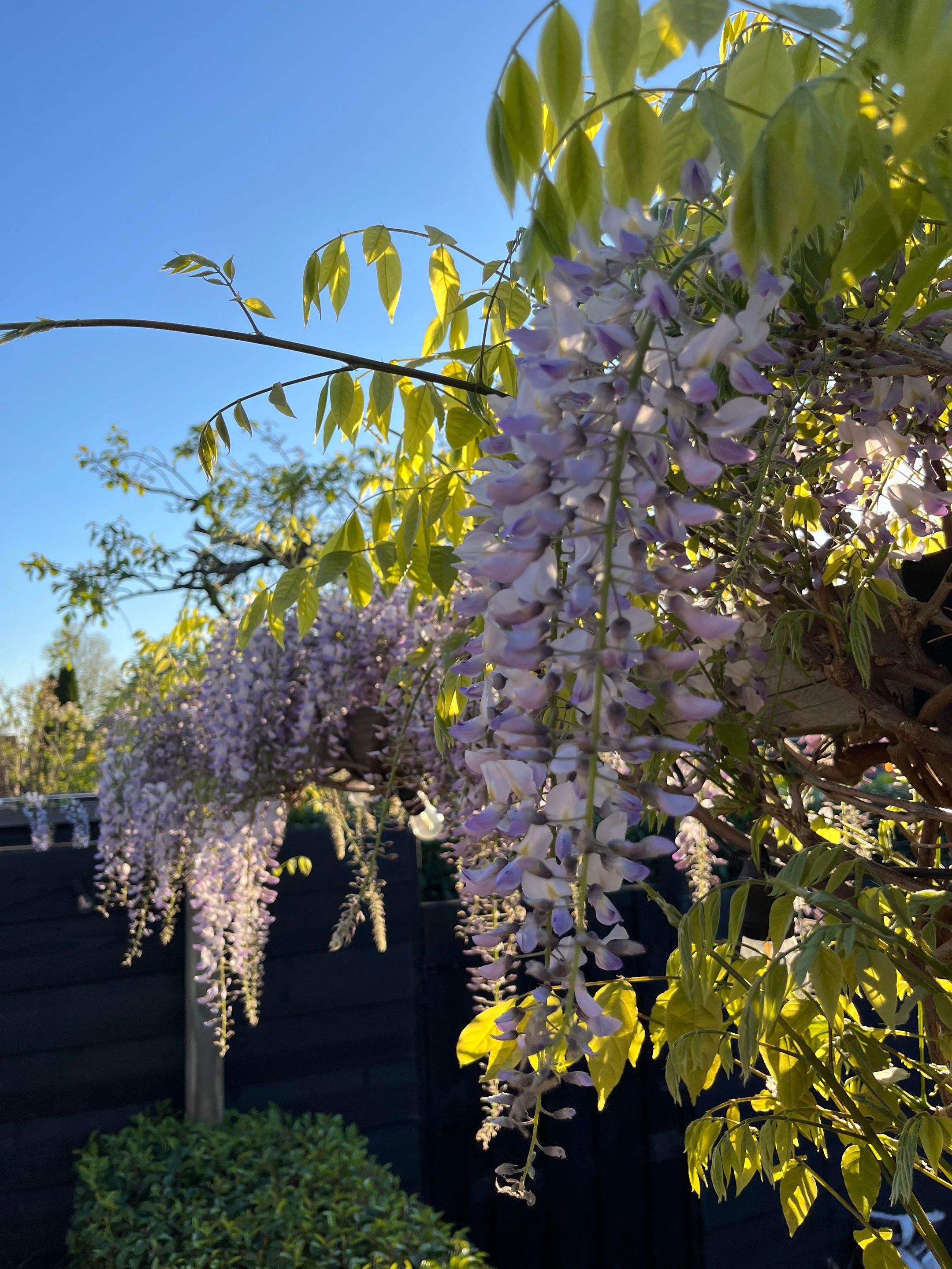 Foto 39 van Burgemeester Egginkstraat 28