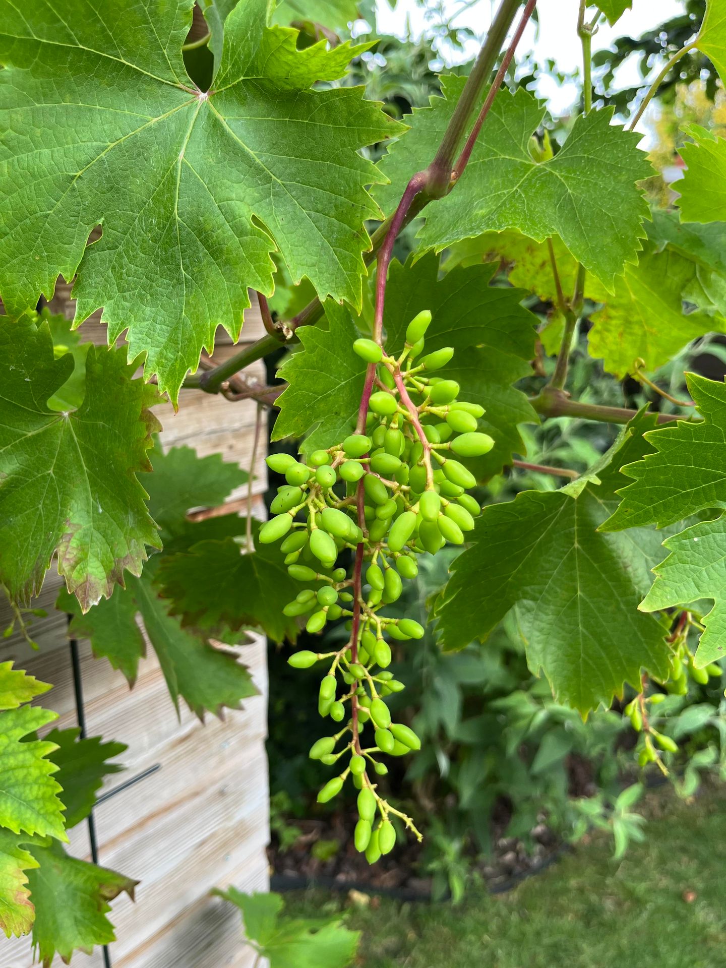 Foto 40 van Burgemeester Egginkstraat 28