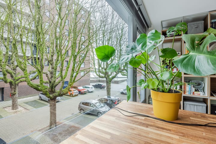 Foto 23 van Veerdam 40