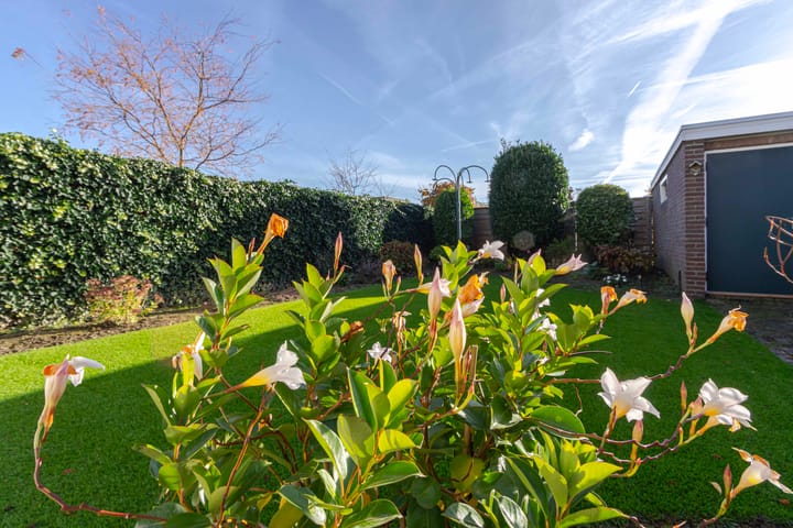 Foto 30 van Kersenlaan 4