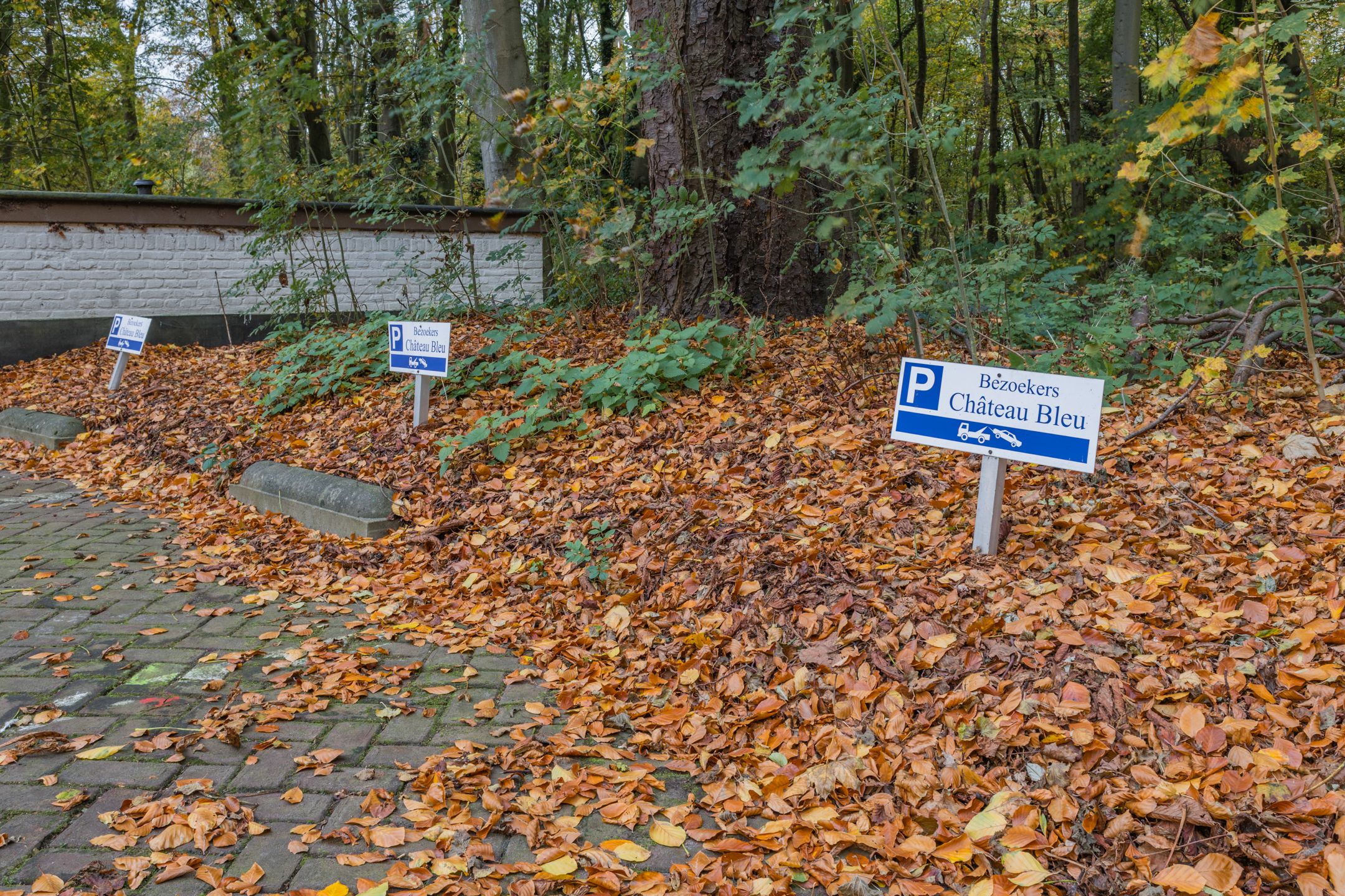 Foto 24 van Leidsestraatweg 15-318