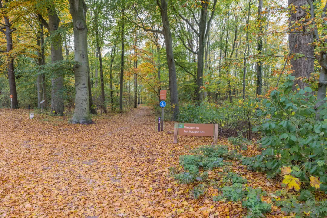 Foto 26 van Leidsestraatweg 15-318