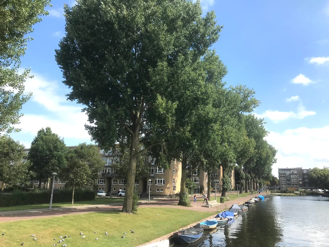 Foto 23 van Heer Halewijnstraat 10-3