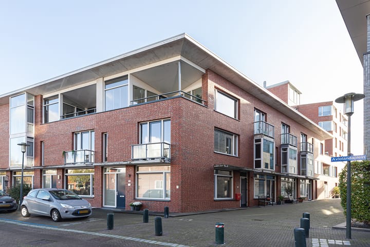 Foto 5 van Aviolandaplein 13