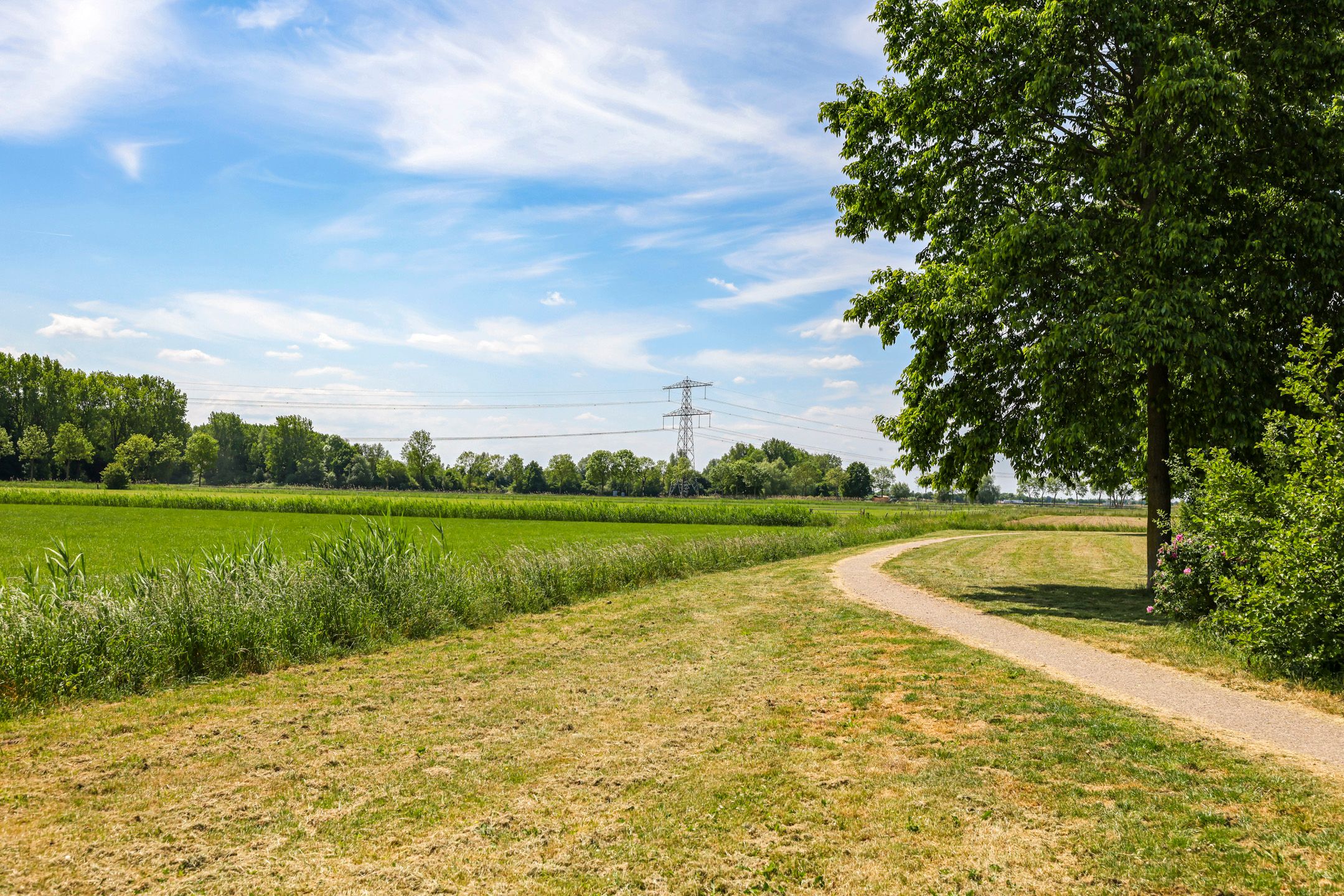 Foto 87 van Kruidenier 17