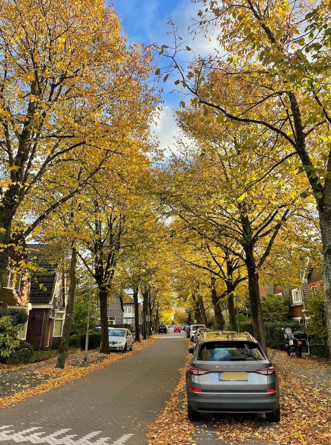 Foto 31 van Hyacintstraat 6