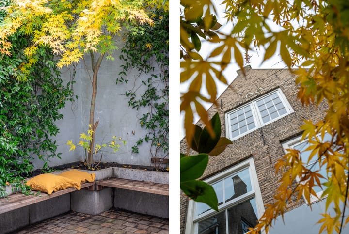 Photo 30 of Molenstraat 97