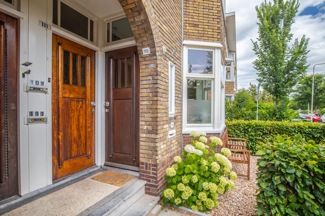 Foto 38 van Johan de Wittlaan 113