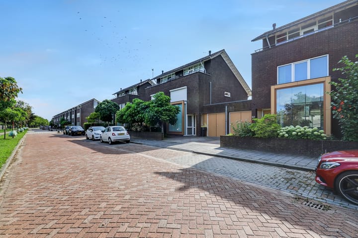 Foto 5 van Speenkruid 60