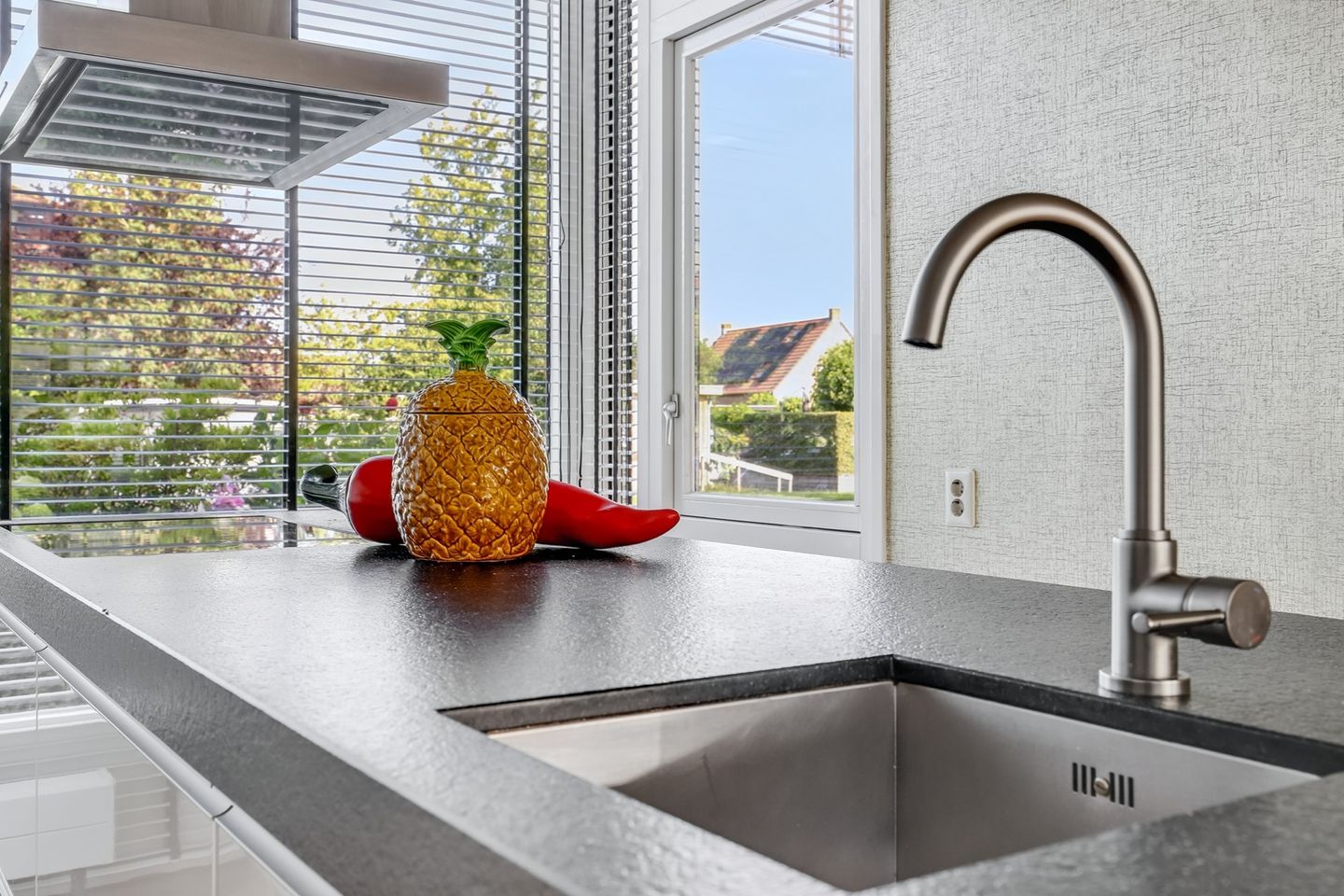 Foto 19 van Speenkruid 60