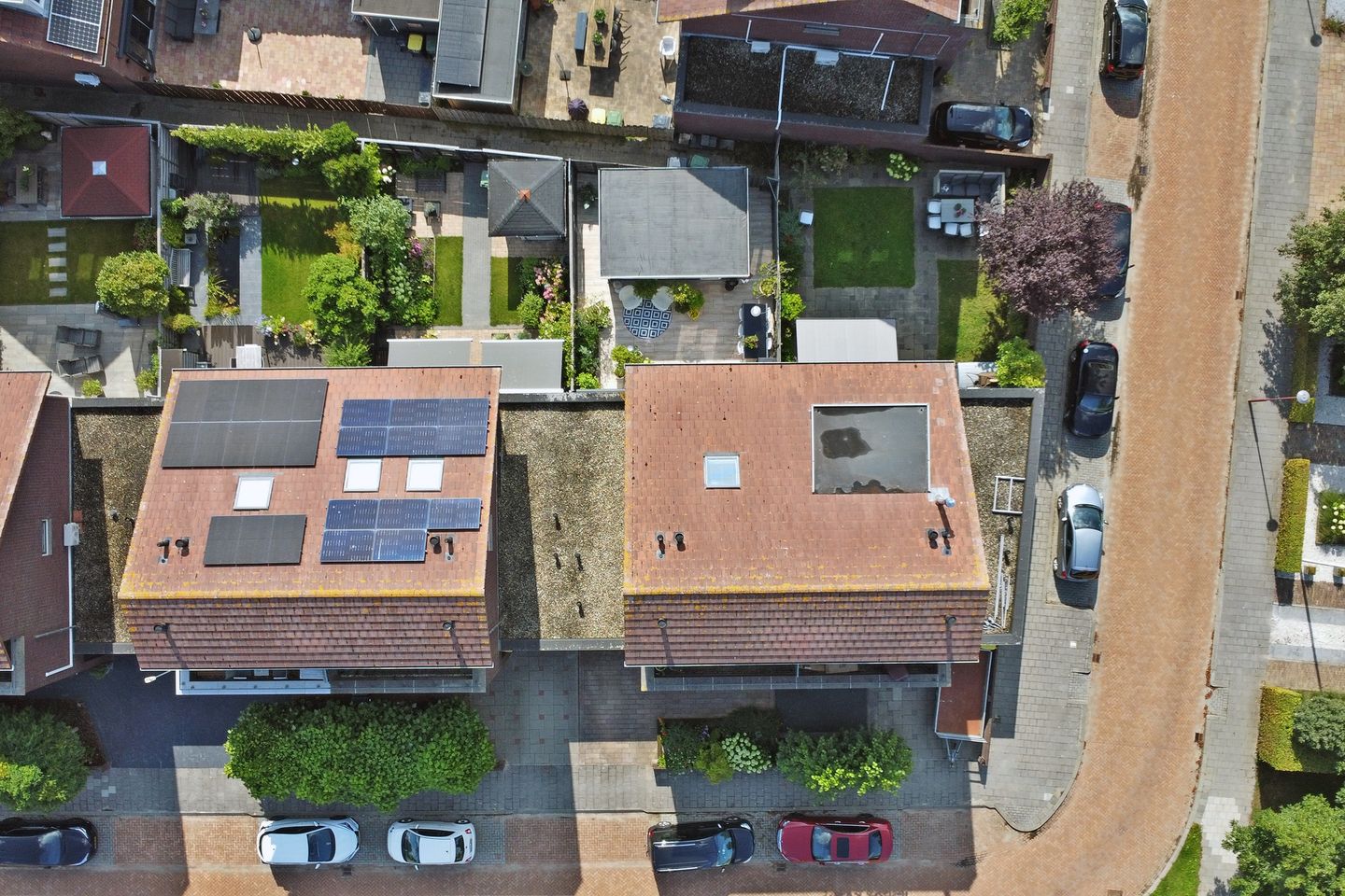 Foto 44 van Speenkruid 60