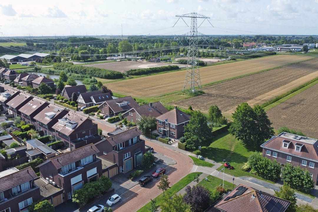 Foto 46 van Speenkruid 60