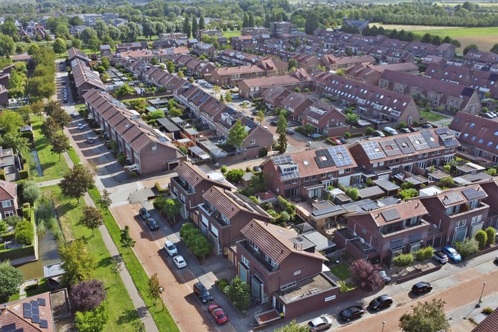 Foto 47 van Speenkruid 60