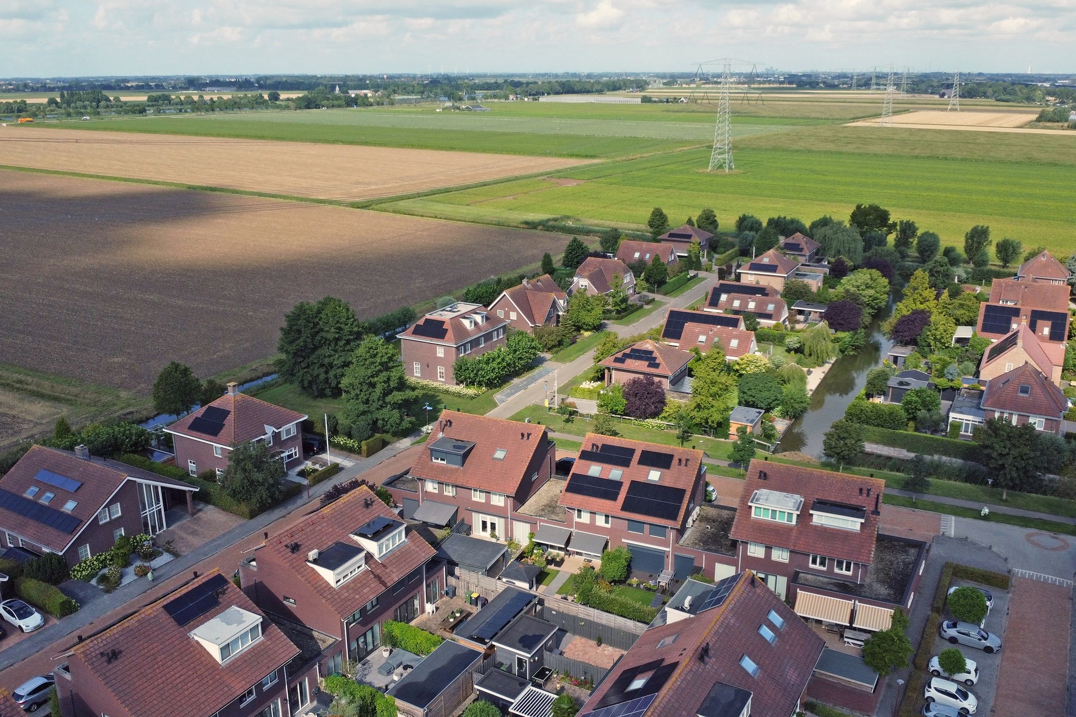 Foto 48 van Speenkruid 60