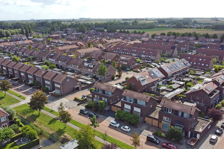 Foto 49 van Speenkruid 60