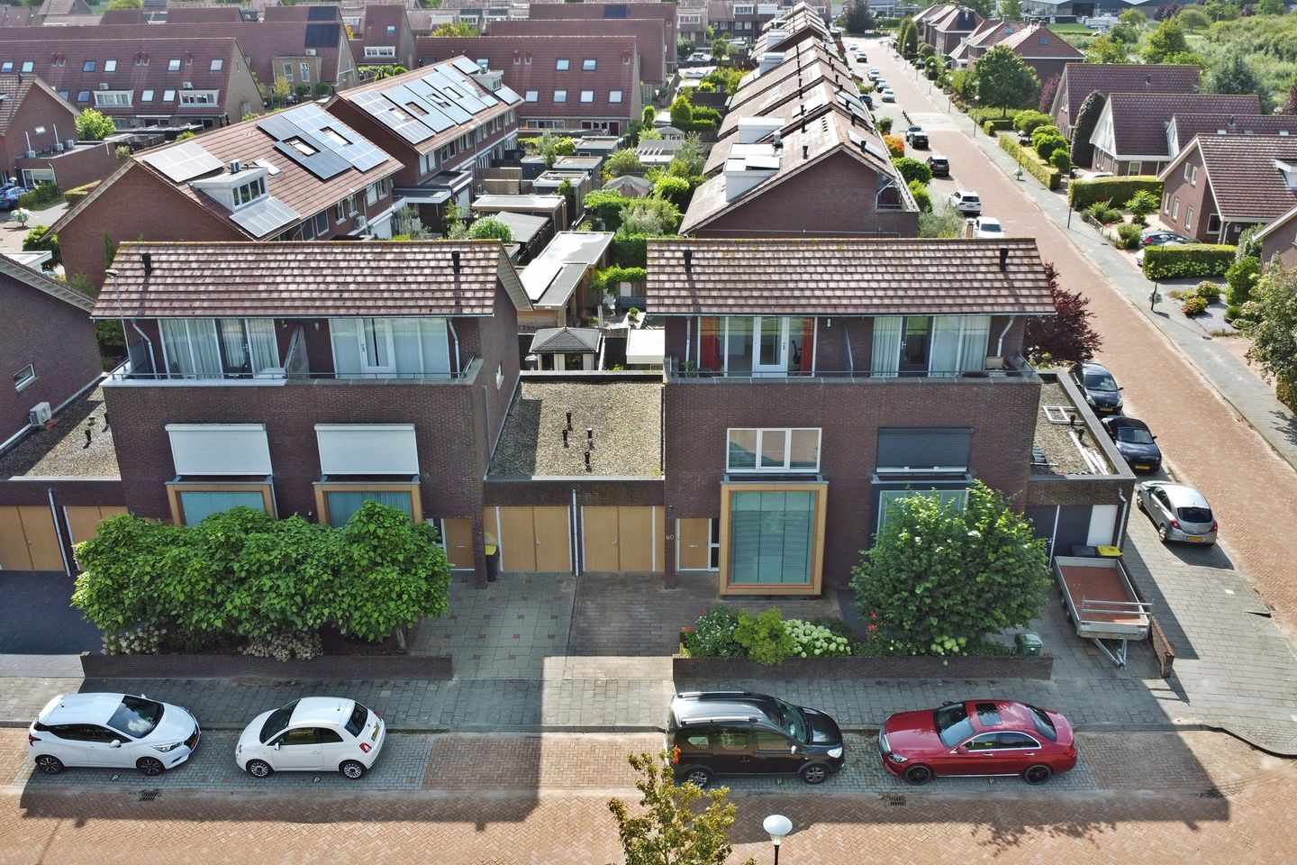 Foto 50 van Speenkruid 60