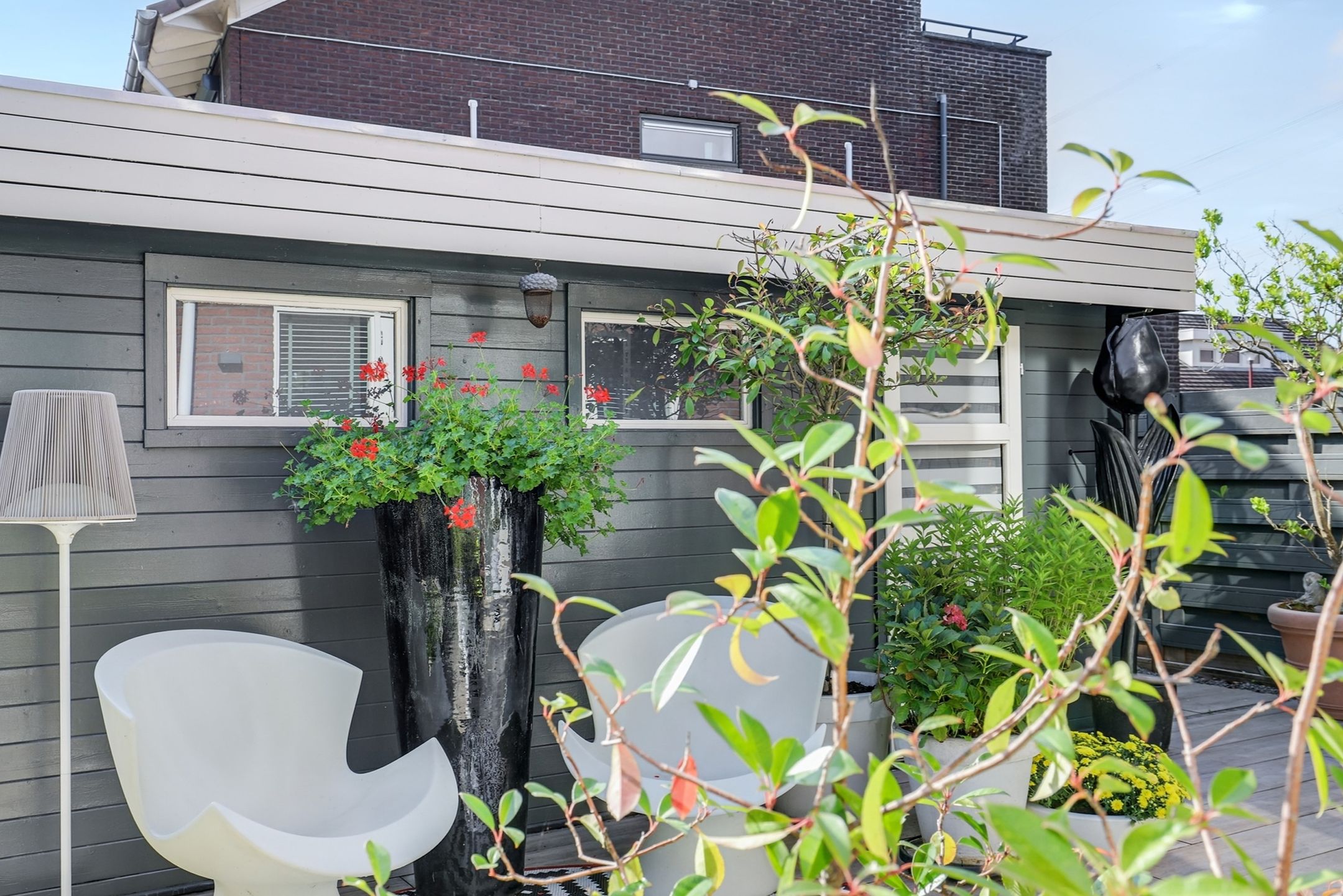 Foto 39 van Speenkruid 60