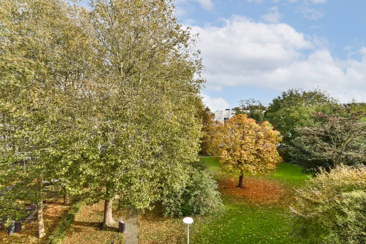 Photo 9 of Daniël Defoelaan 67