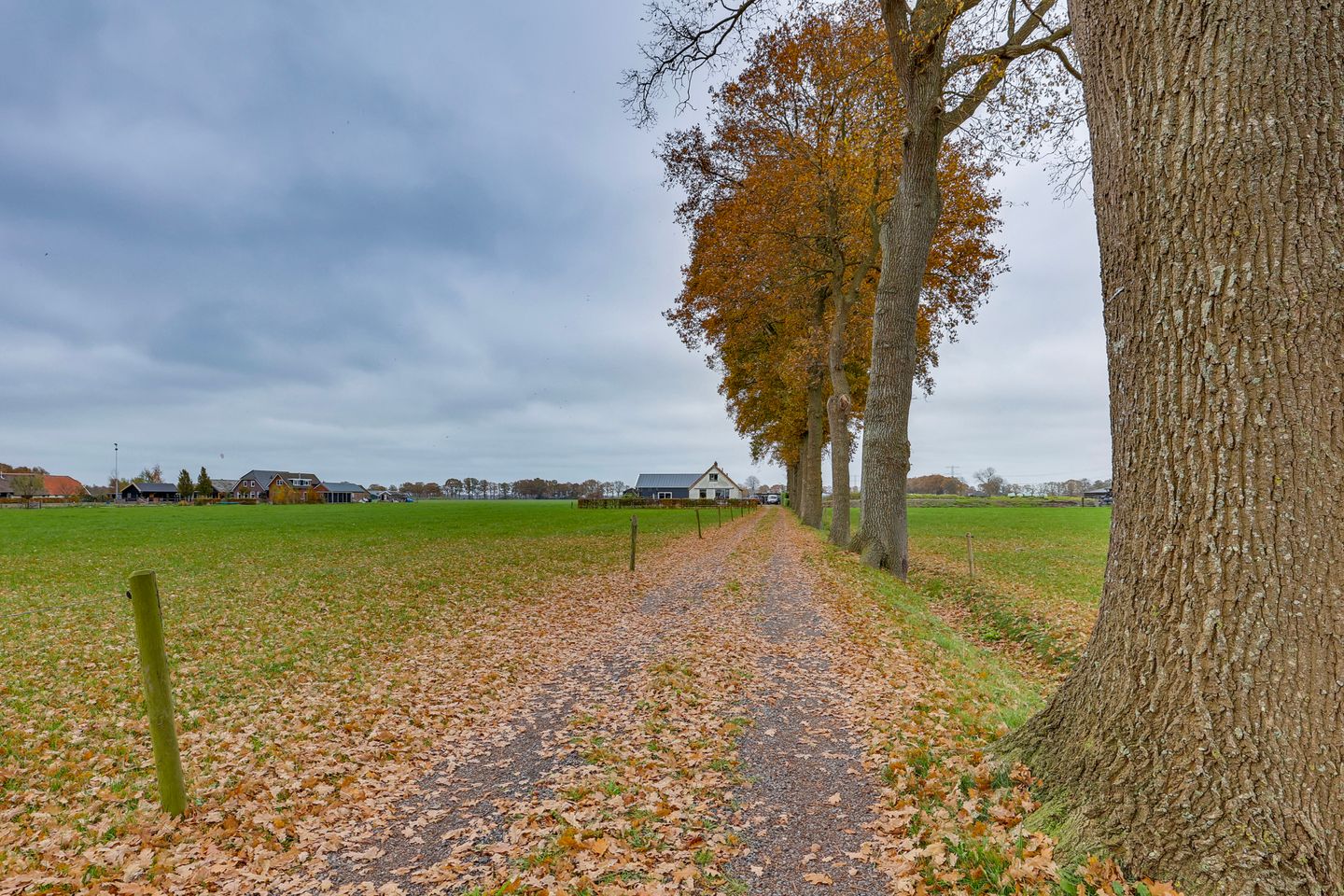 Foto 4 van Dommelerdijk 26