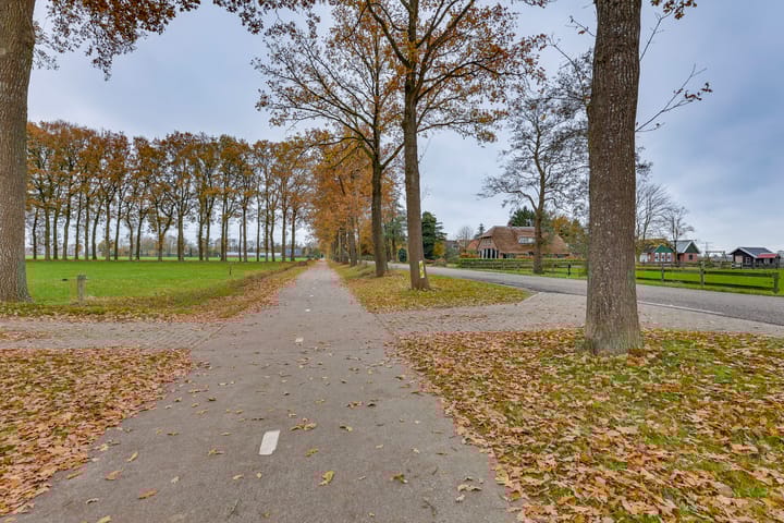 Foto 51 van Dommelerdijk 26