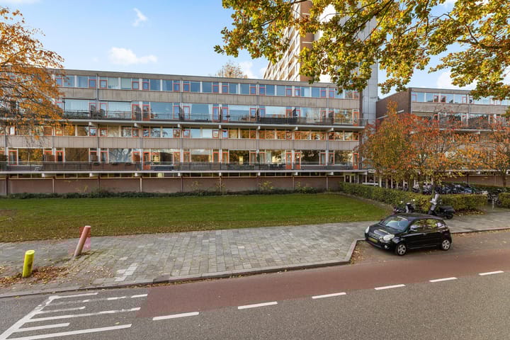 Foto 31 van Monteverdilaan 39