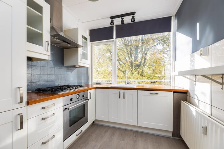 Foto 17 van Monteverdilaan 39