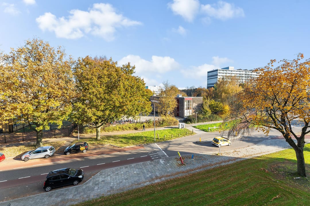 Foto 13 van Monteverdilaan 39