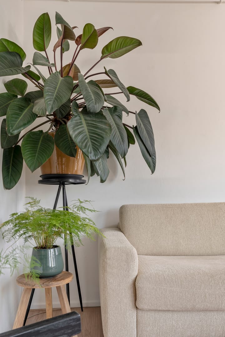 Photo 7 of Lex Althoffstraat 1-2