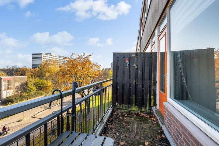 Foto 14 van Monteverdilaan 39