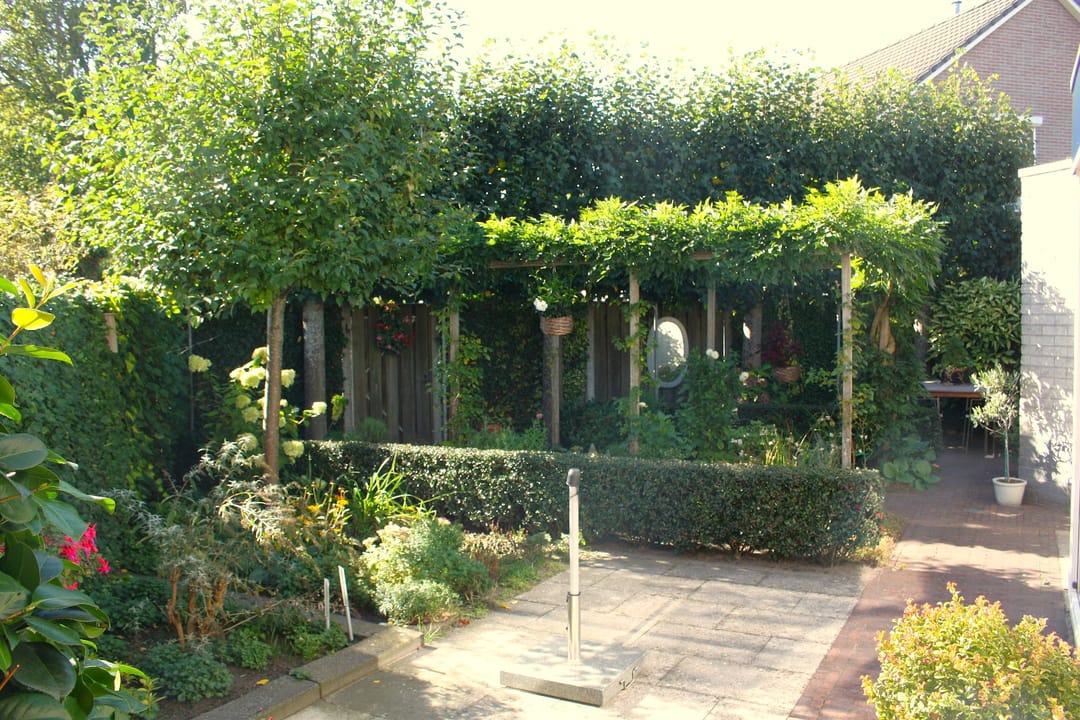 Foto 37 van Kruidenlaan 159