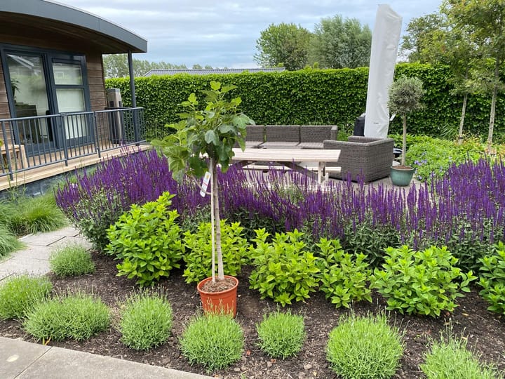 Photo 26 of de Noord 126