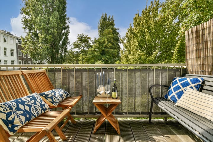 Foto 16 van Hemonystraat 24-1