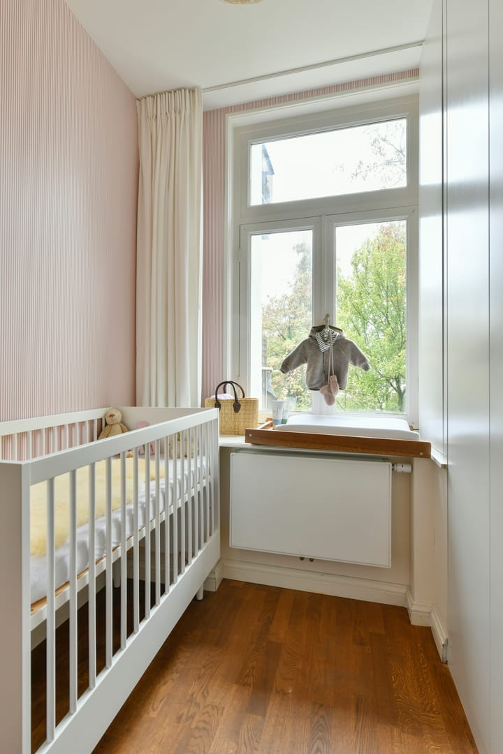 Foto 20 van Hemonystraat 24-1