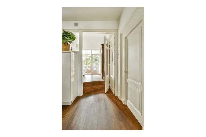 Foto 27 van Hemonystraat 24-1