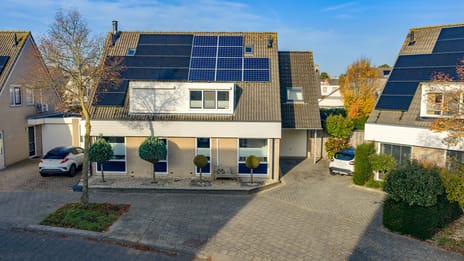 Mr. P.J. Oudsingel thumbnail