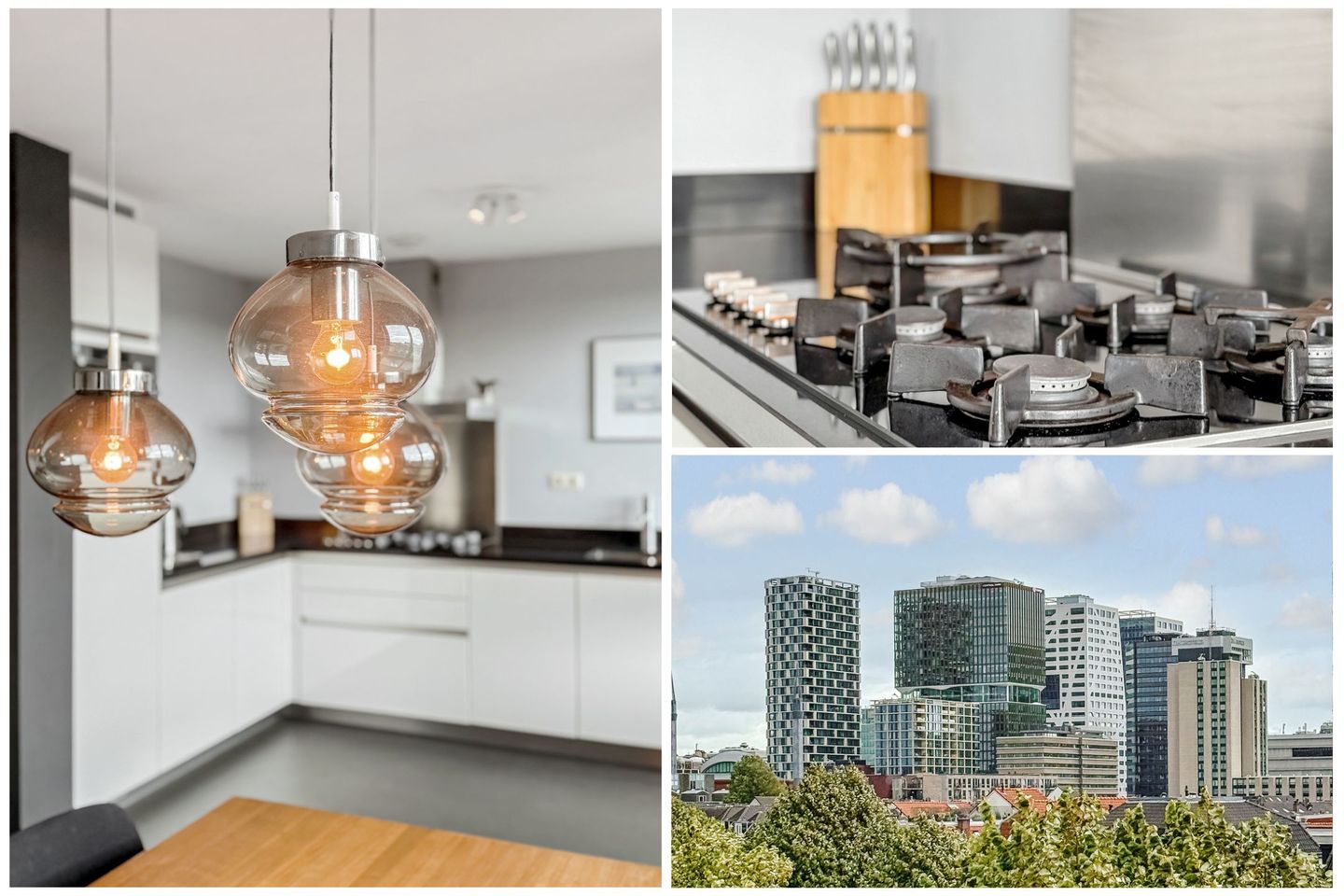 Foto 4 van Vleutenseweg 261-G