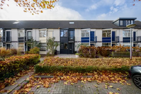 undefined main image