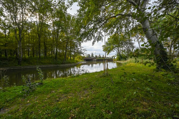 Foto 53 van Thomas Mannsingel 2