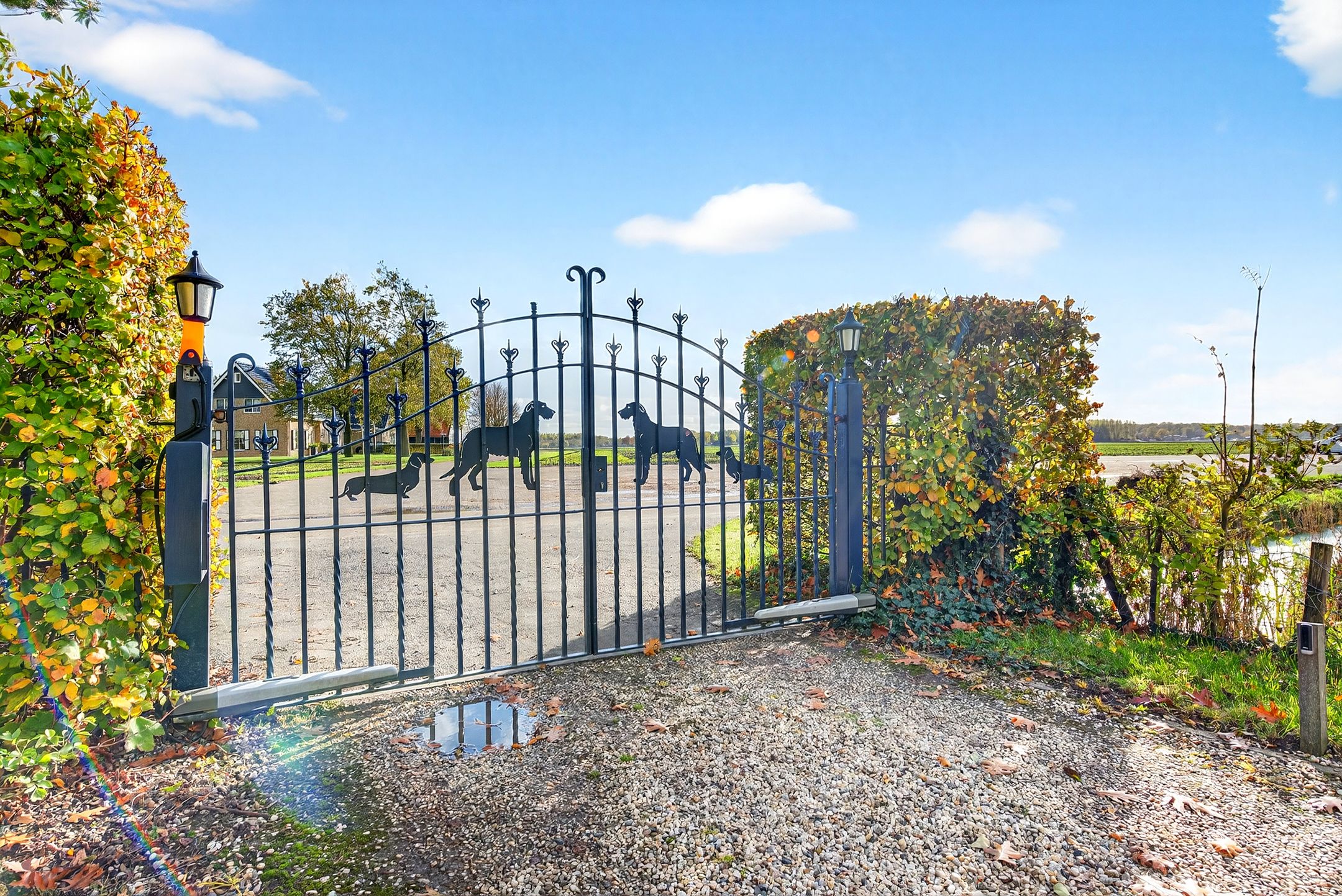 Foto 6 van 1e Tieflaarsestraat 15