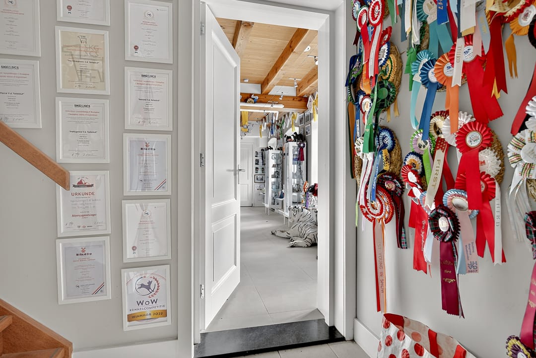 Foto 22 van 1e Tieflaarsestraat 15