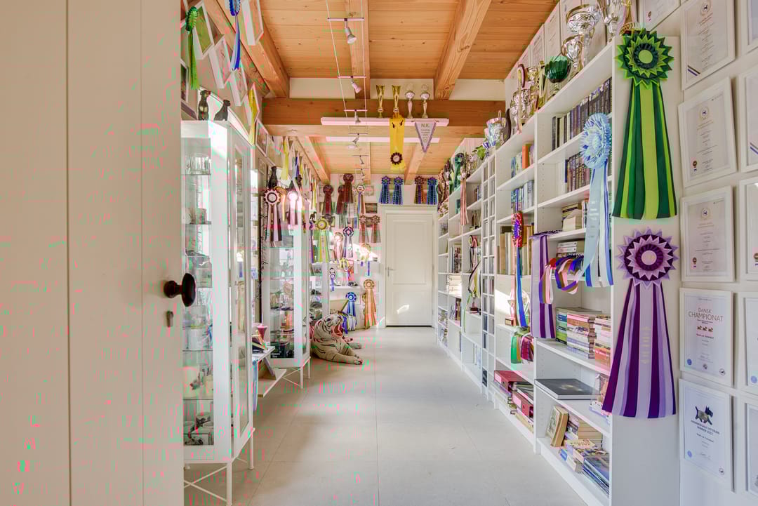 Foto 23 van 1e Tieflaarsestraat 15