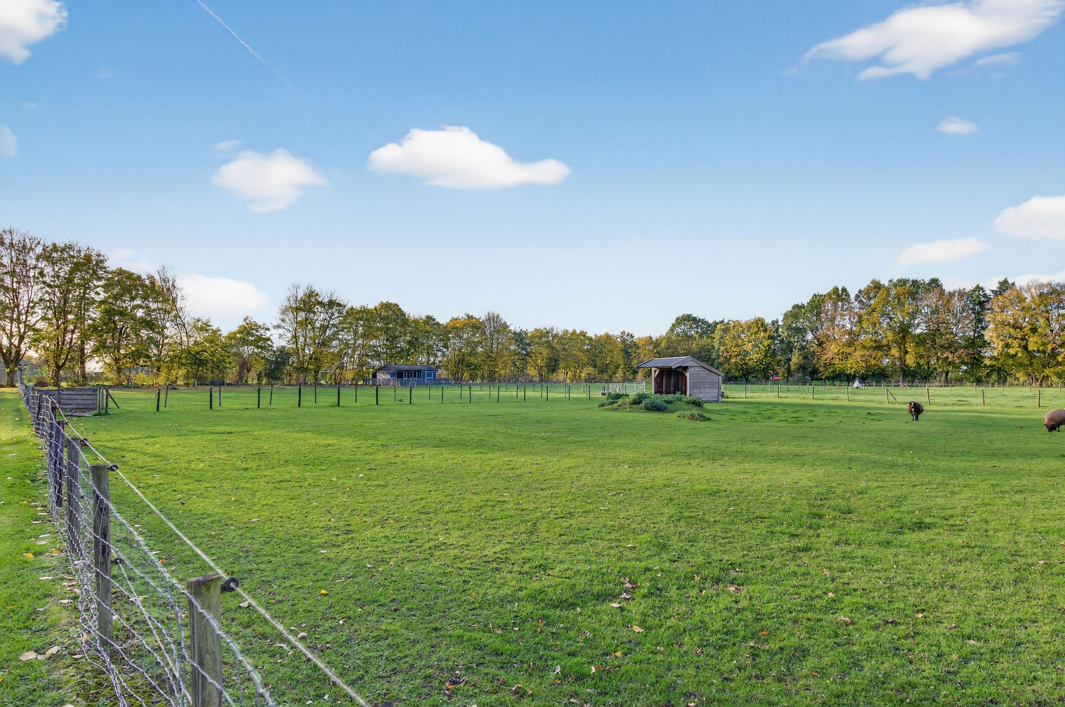 Foto 99 van 1e Tieflaarsestraat 15