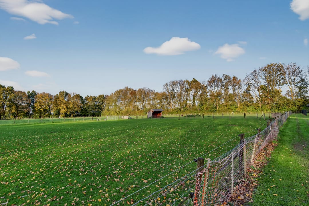 Foto 98 van 1e Tieflaarsestraat 15