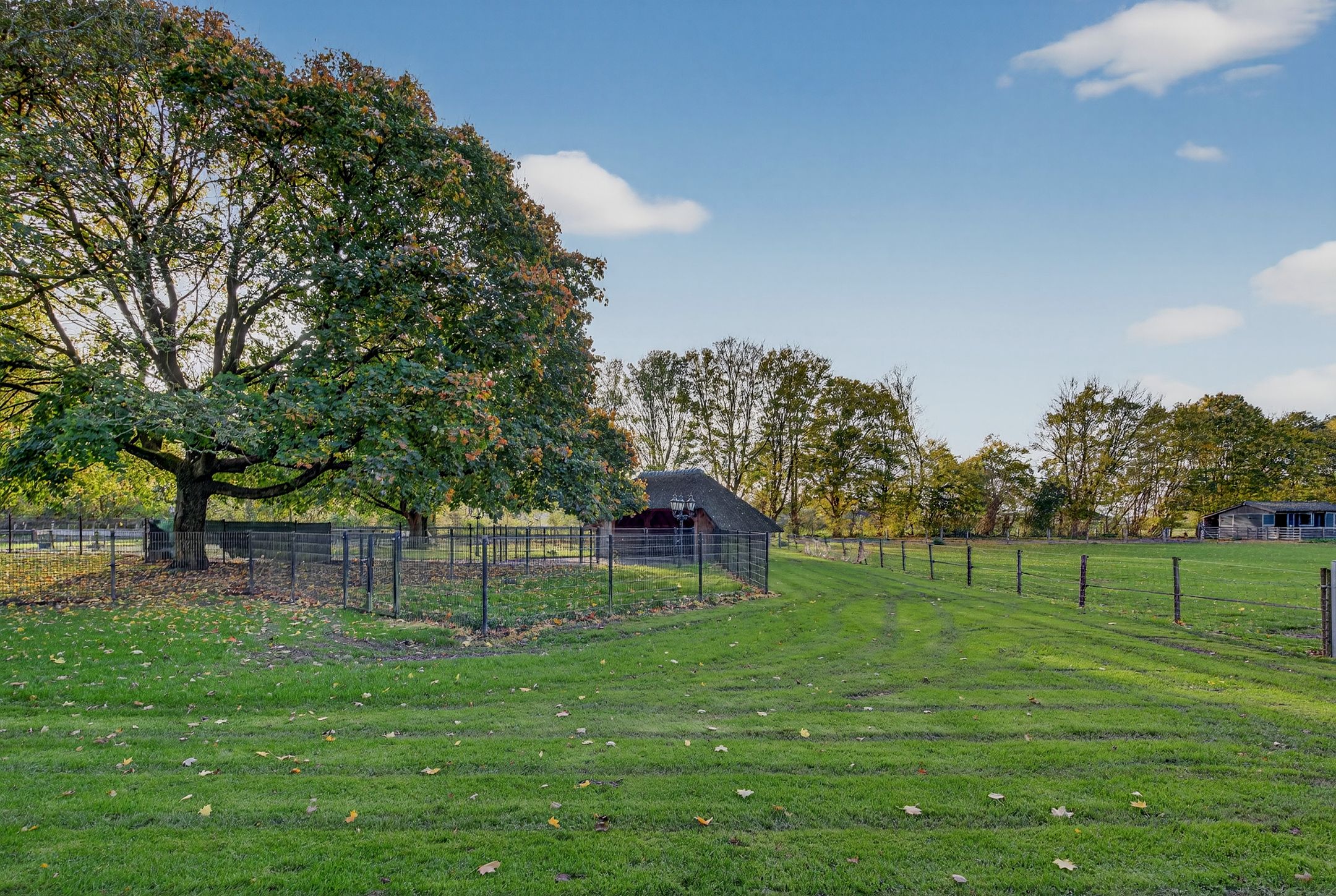 Foto 96 van 1e Tieflaarsestraat 15