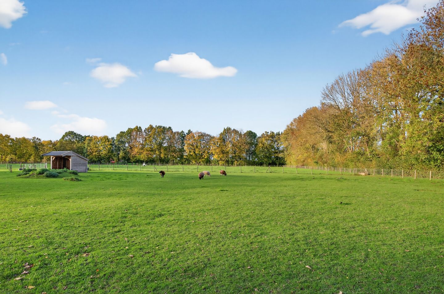 Foto 94 van 1e Tieflaarsestraat 15